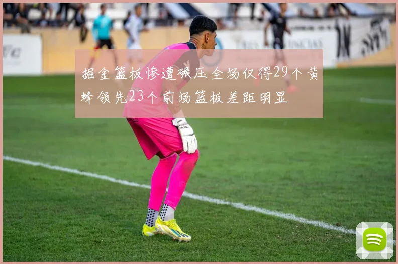 掘金篮板惨遭碾压全场仅得29个黄蜂领先23个前场篮板差距明显